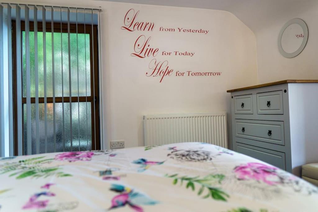 Millers Cottage Llandysul المظهر الخارجي الصورة